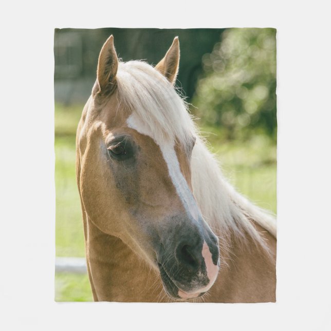 Beautiful haflinger horse portrait fleece blanket (Front)