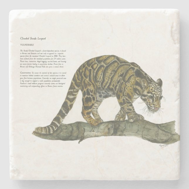 Beautiful Hand-Painted Endangered Clouded Leopard Stone Coaster (Front)