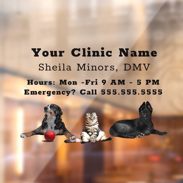 Beautiful Happy Dogs and Cat Veterinarian Window C (Sheet 2)