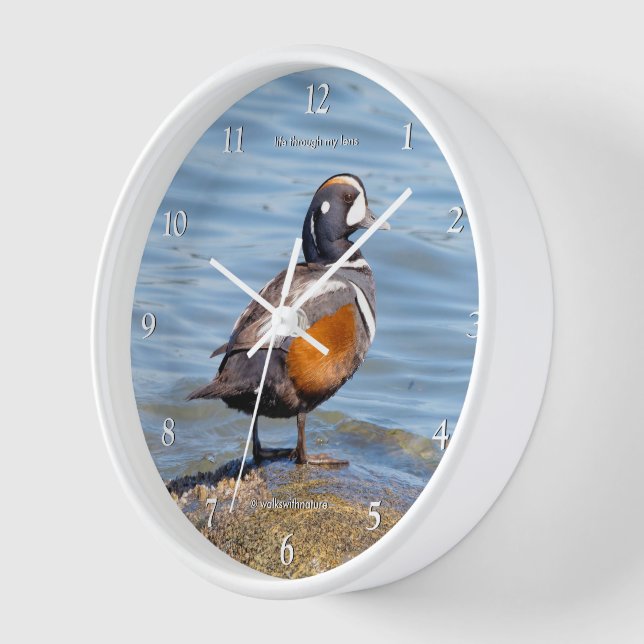 Beautiful Harlequin Duck on Beach Shores Clock (Angle)