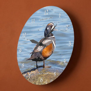 Beautiful Harlequin Duck on Beach Shores Large Clock