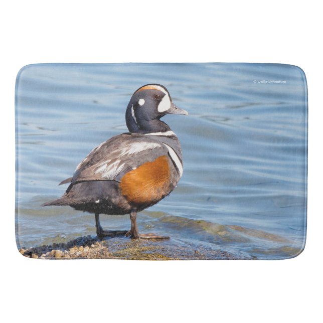 Beautiful Harlequin Duck on the Rock Bath Mat (Front)