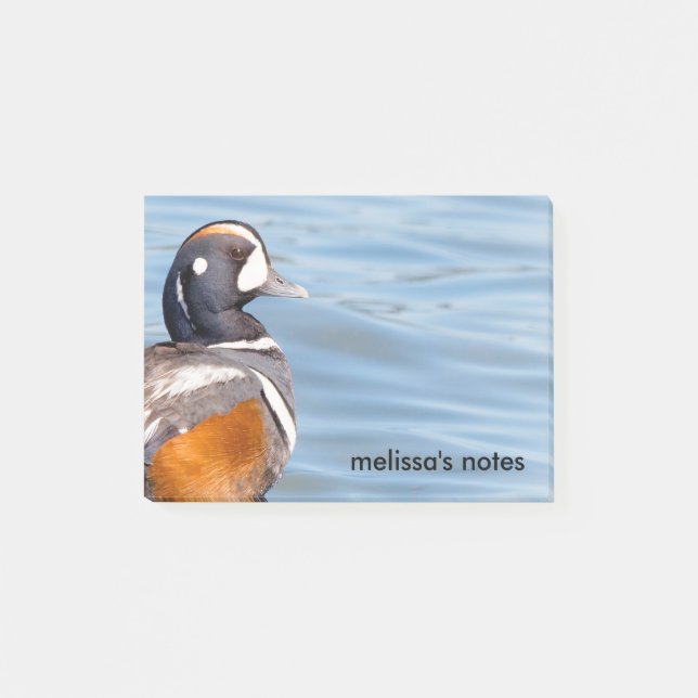 Beautiful Harlequin Duck on the Rock Post-it Notes (Front)