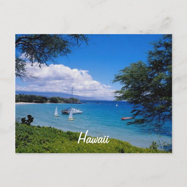 Beautiful Hawaii Postcard (Front)