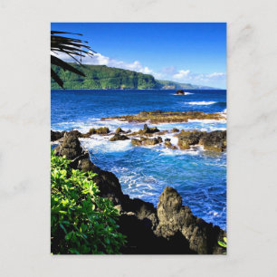 Beautiful Hawaii Postcard