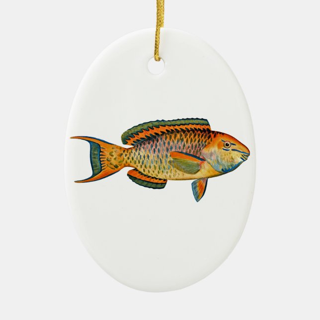 Beautiful Hawaiian Fish - Regal Parrotfish Ceramic Tree Decoration (Front)