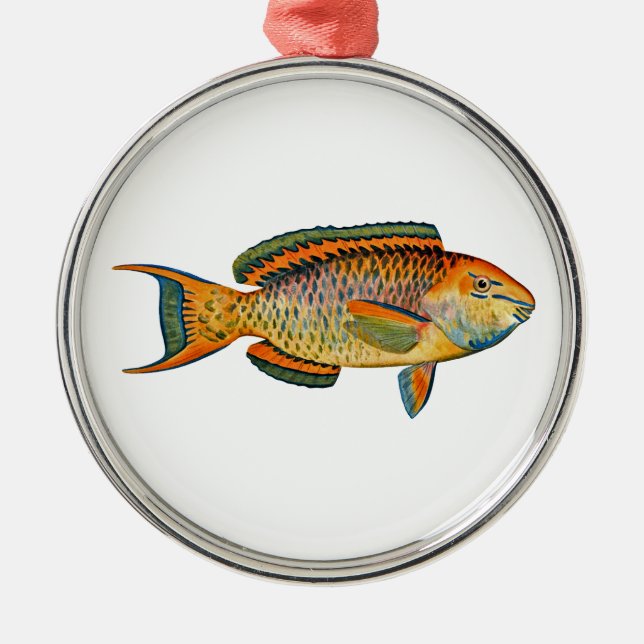 Beautiful Hawaiian Fish - Regal Parrotfish Metal Tree Decoration (Front)