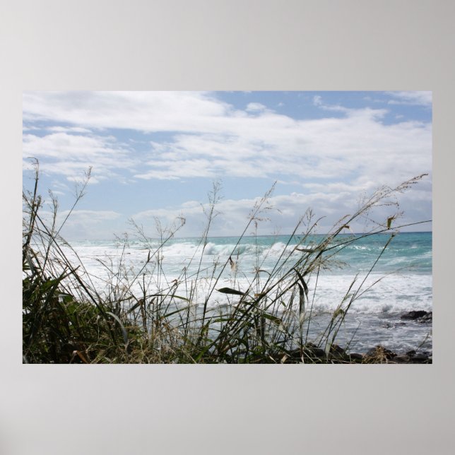 Beautiful Hawaiian Ocean Poster (Front)