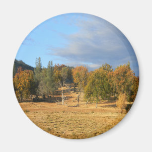 Beautiful Hayfork, California.... Magnet