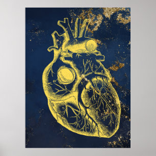 Beautiful Heart anatomy poster