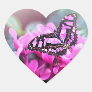 Beautiful heart sticker