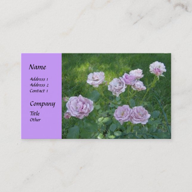 Beautiful Hedge Roses Business Cards (Front)