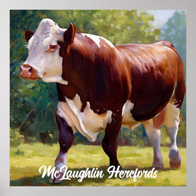 Beautiful Hereford Bull Poster (Front)