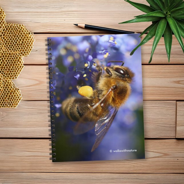 Beautiful Honeybee on the California Lilac Spiral Notebook (Honeybee on the California Lilac Journal Cover Photo)