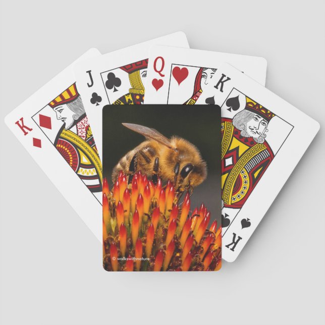 Beautiful Honeybee Pollinating a Coneflower Playing Cards (Back)