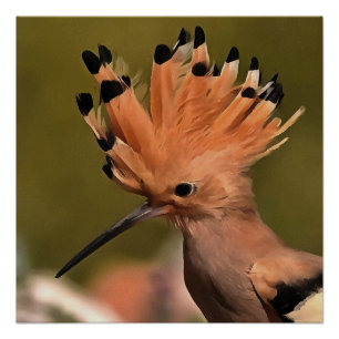 Beautiful Hoopoe Bird With Crown Of Feathers Poster