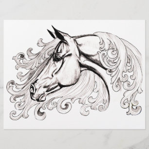 beautiful  horse