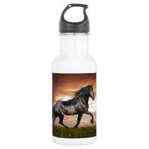 Beautiful Horse 532 Ml Water Bottle