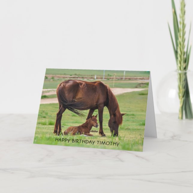 Beautiful Horse and Foal in a Pasture Card (Front)