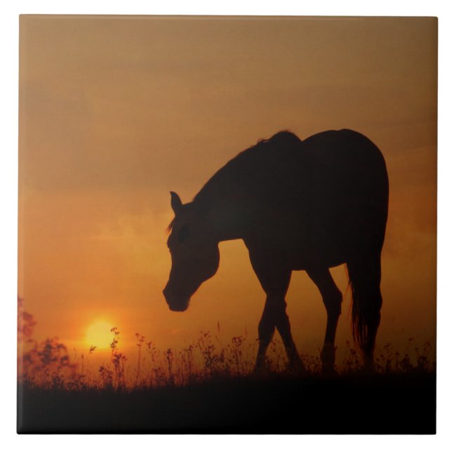 Beautiful Horse and Southwestern Sunset Tile (Front)