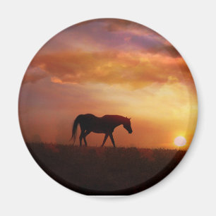 Beautiful Horse and Sunset Horse Photography Magne Magnet