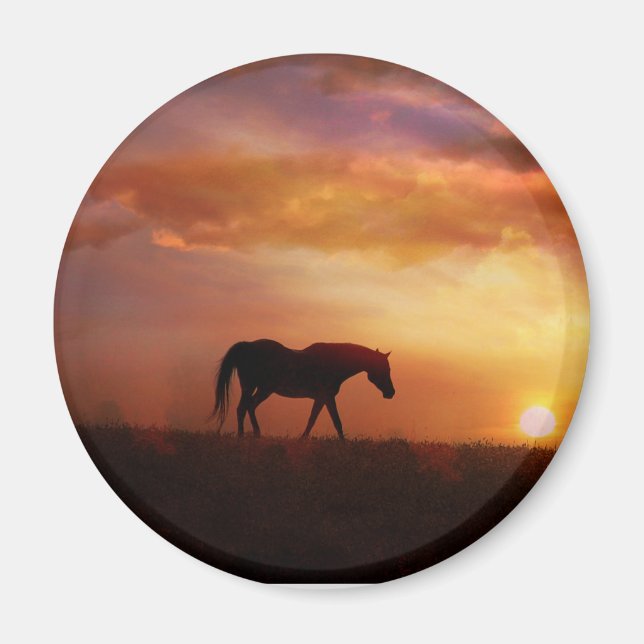Beautiful Horse and Sunset Horse Photography Magne Magnet (Front)