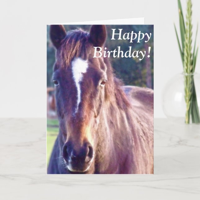 Beautiful Horse Birthday Card (Front)