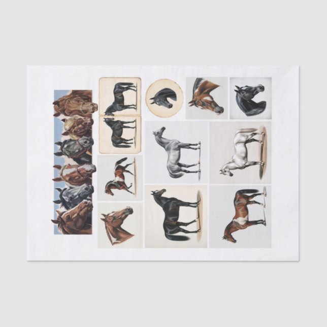 Beautiful Horse Illustrations and Ephemera Tissue Paper (Front)