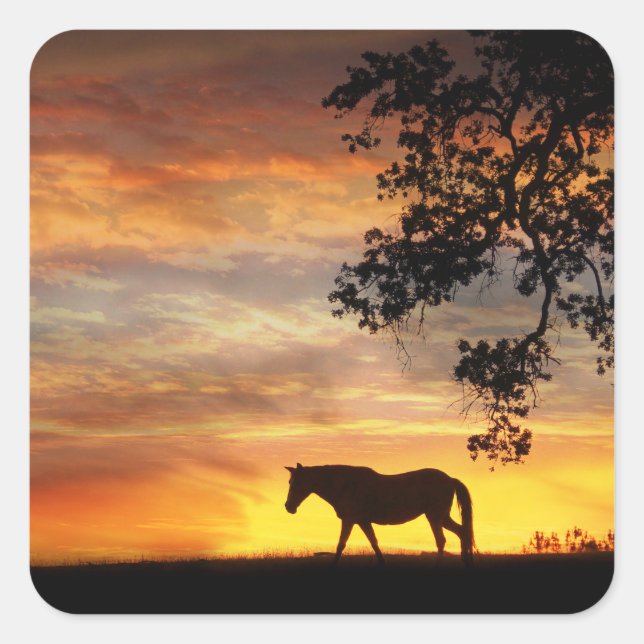 Beautiful Horse in a Fiery Sunset Stickers! Square Sticker (Front)