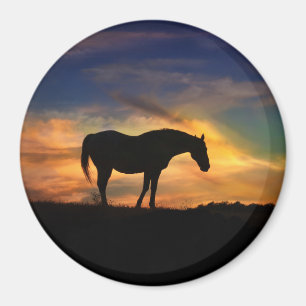 Beautiful Horse in Sunset Art Magnet
