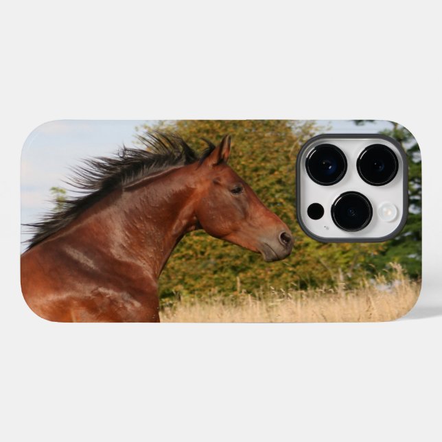 Beautiful Horse iPhone / iPad case (Back (Horizontal))