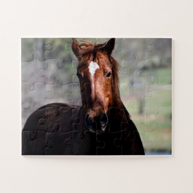 Beautiful Horse Jigsaw Puzzle (Horizontal)