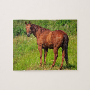 Beautiful Horse Jigsaw Puzzle