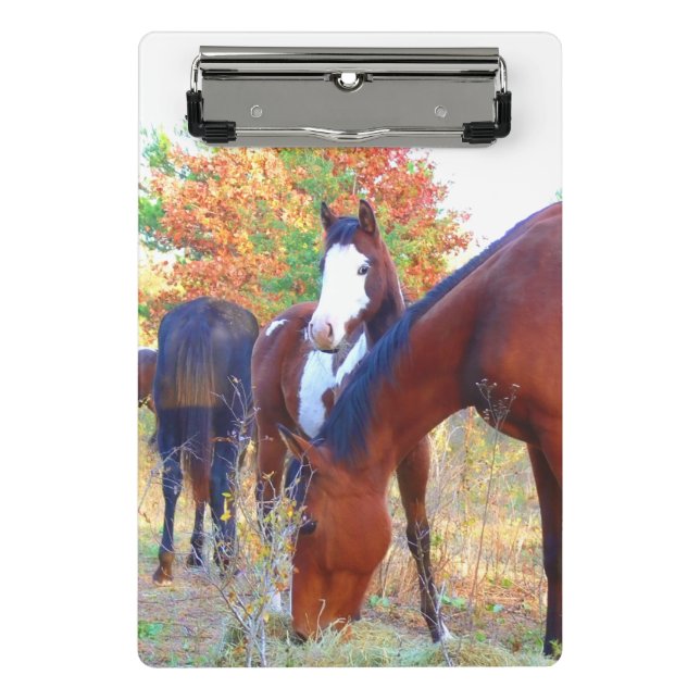 Beautiful Horse Mini Clipboard (Front)