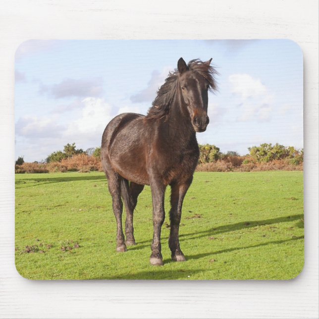 Beautiful Horse Mouse Mat (Front)
