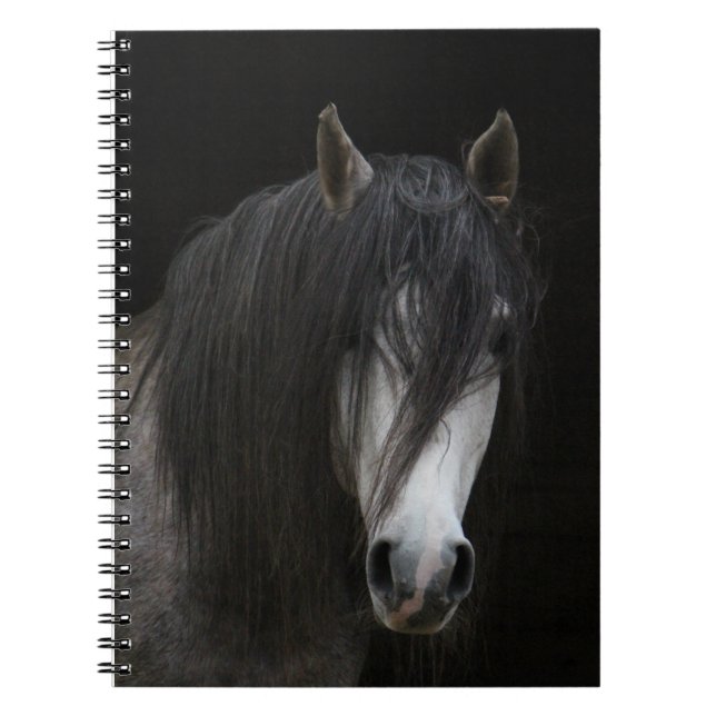 Beautiful Horse Notebook (Front)