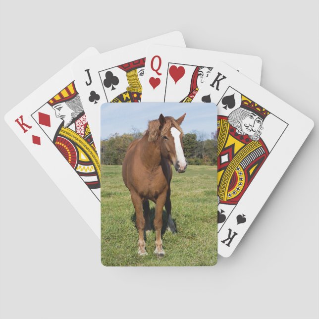 Beautiful Horse Playing Cards (Back)