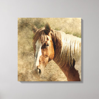 BEAUTIFUL HORSE PORTRAIT.  TAN AND WHITE HORSE CANVAS PRINT