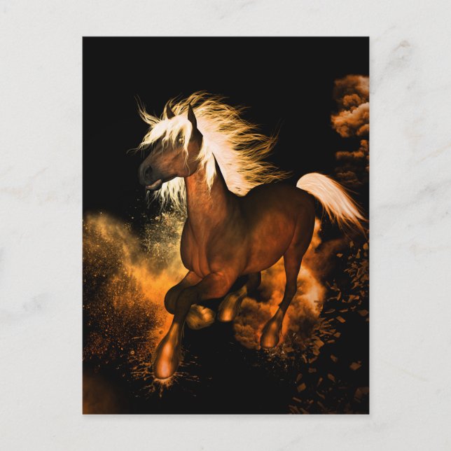 Beautiful horse postcard (Front)