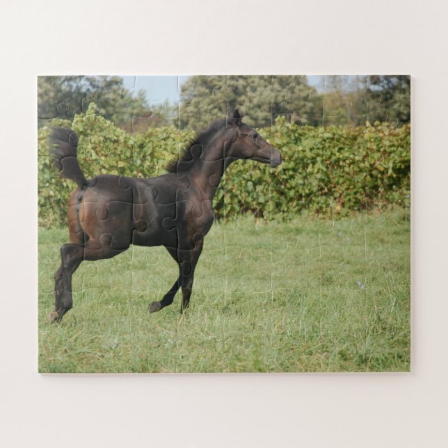 Beautiful Horse Prancing in a Field Jigsaw Puzzle (Horizontal)