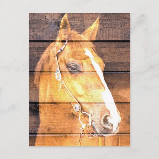 Beautiful Horse Rustic Barn Board Announcement Postcard (Front)