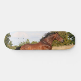 Beautiful Horse Skateboard