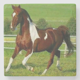 Beautiful Horse Stone Coaster