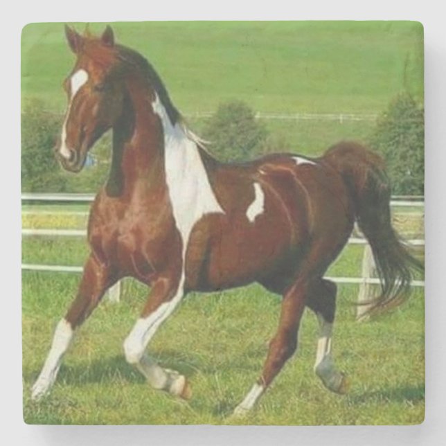 Beautiful Horse Stone Coaster (Front)