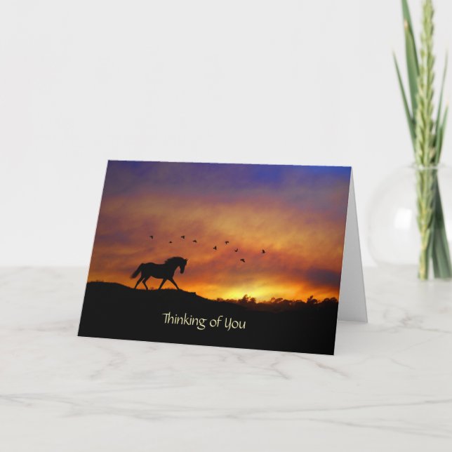 Beautiful Horse Thinking of You Card (Front)