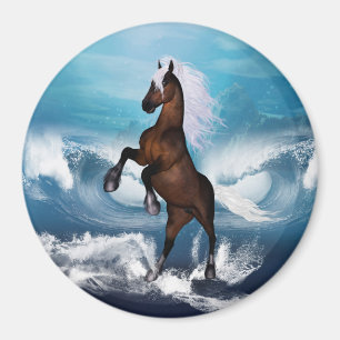 Beautiful horse with magnet