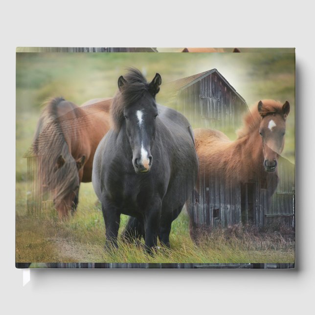 Beautiful Horses and Rustic Barn Guest Book (Front)