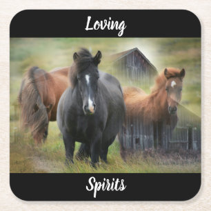 Beautiful Horses and Rustic Barn Square Paper Coaster