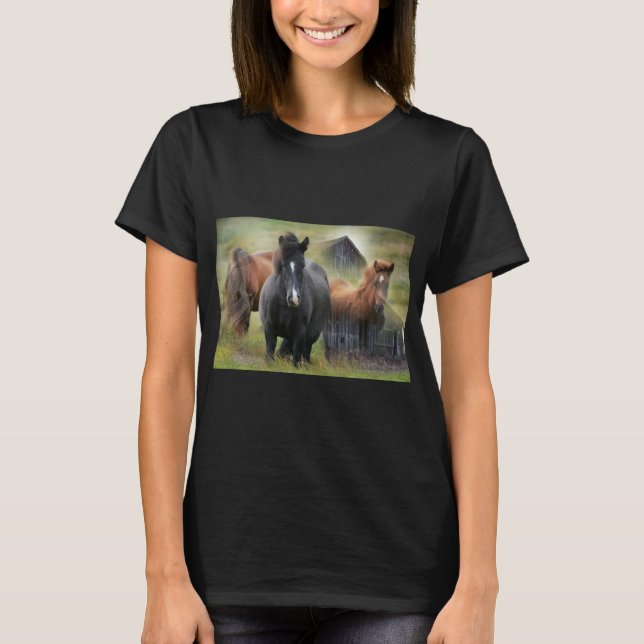 Beautiful Horses and Rustic Barn T-Shirt (Front)