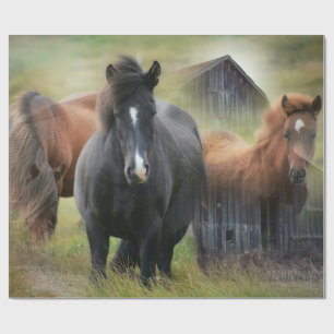 Beautiful Horses and Rustic Barn Wrapping Paper
